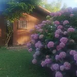 La Corte פררה